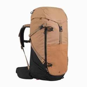 Men's Decathlon Quechua Mh500 40l Hiking Backpack Beige | PMW786132