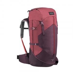 Women's Decathlon Forclaz Mt100 Easyfit 50 Ling Pack Backpack Red | LFT268749