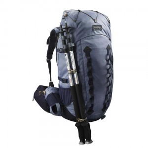 Women's Decathlon Forclaz Mt900 Symbium 50+10 Ling Pack Backpack Blue | CPV834157